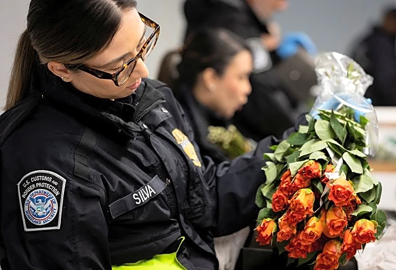 US trucking market sees signs of recovery as Valentine's Day flower shipments arrive