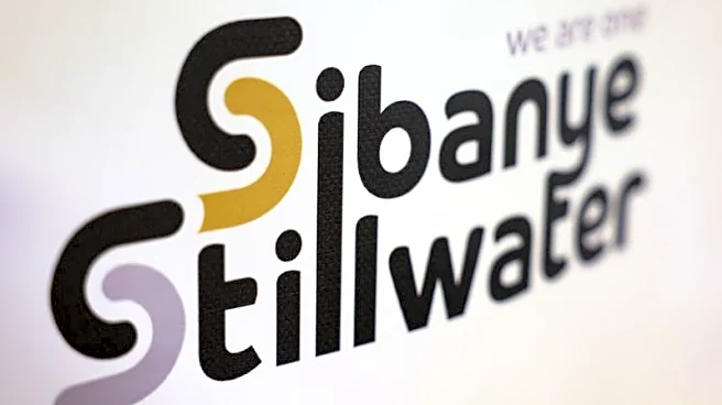 US Commerce Dept gives initial backing to Sibanye-Stillwater's call for tariffs on Russian palladium