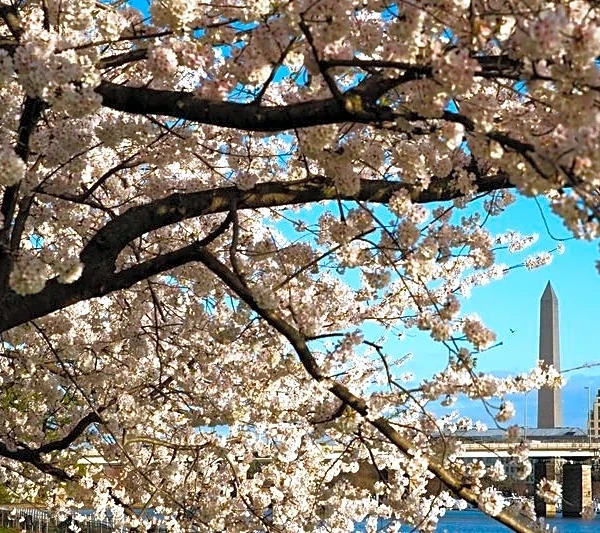 Trump administration sued for attempted overhaul of public golf course in Washington