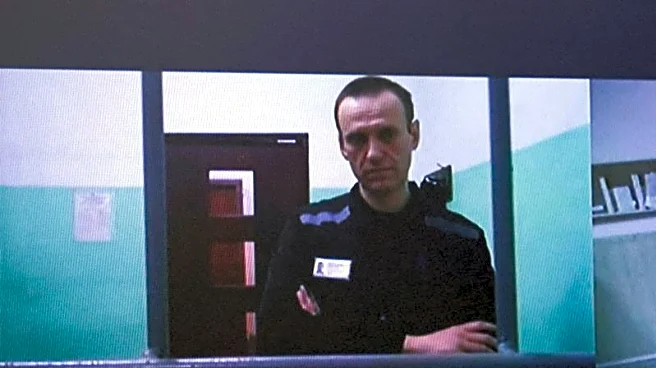 European allies say Navalny was poisoned by dart frog toxin; Russia rejects claims