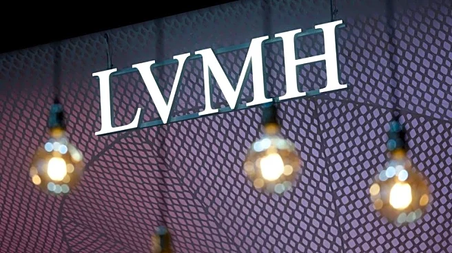 Analysis-Luxury stocks' volatility highlights AI jitters, hedge fund positioning