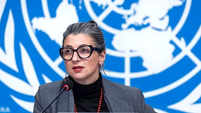 Independent UN body condemns 'vicious attacks' on UN expert on Palestinian rights