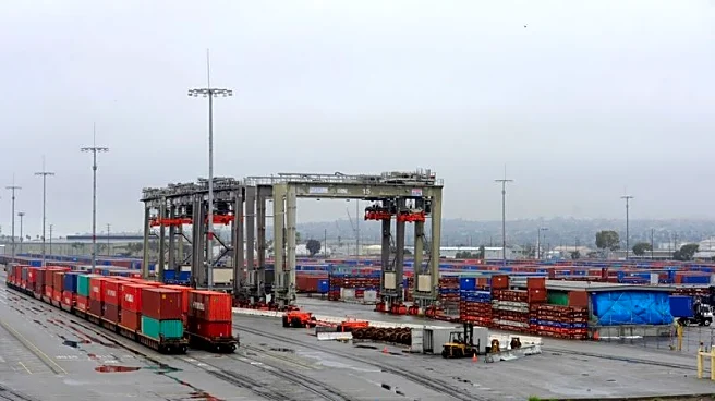 'Exports to China look dismal,' leader of busiest US seaport says