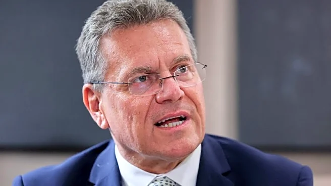 EU should be ready to enact Mercosur deal despite resistance, trade chief says