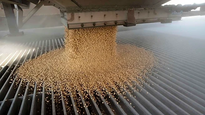 Analysts say China less likely to buy US soy after Supreme Court decision