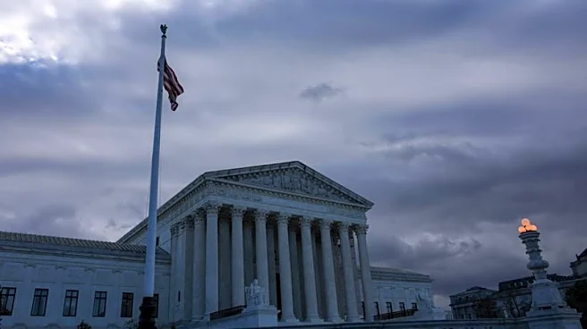 Industry reaction to US Supreme Court ruling on Trump's global tariffs