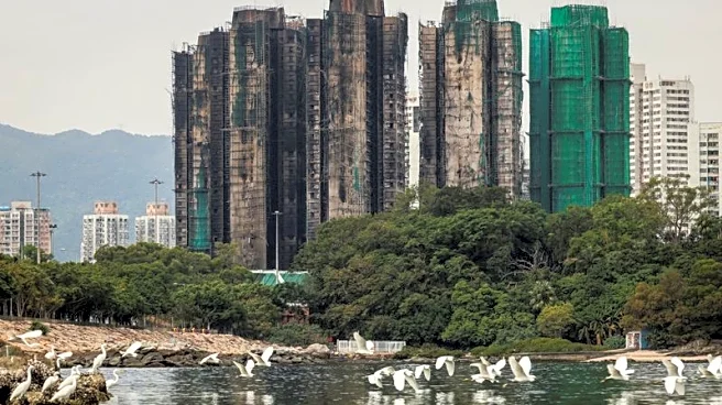 Hong Kong plans to buy homes devastated in deadly high-rise fire