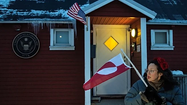 Greenland prime minister says 'no thanks' to Trump's hospital ship