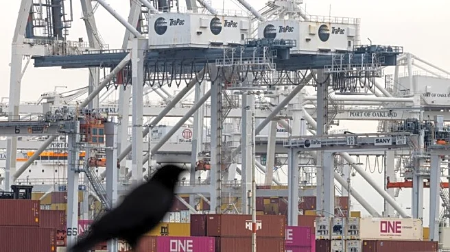 US Senate Democrats introduce bill to force refunds of Trump tariffs deemed illegal