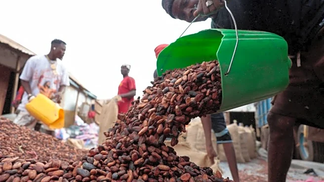 Ivory Coast unsold cocoa stocks set to soar if price standoff persists
