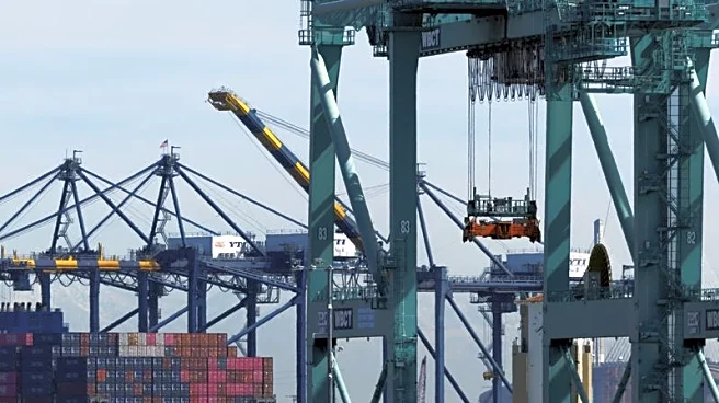 Solar dominates import seizures after US ban on Chinese forced labor goods