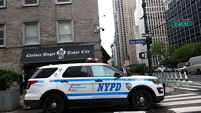 Fun or felony? New York police investigate snowball fight after officers got pelted