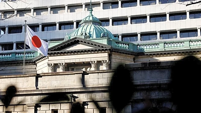 Japan's government taps academics Asada, Sato for BOJ board
