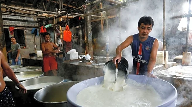 Indonesia may struggle to deliver on new US farm import promises, traders say