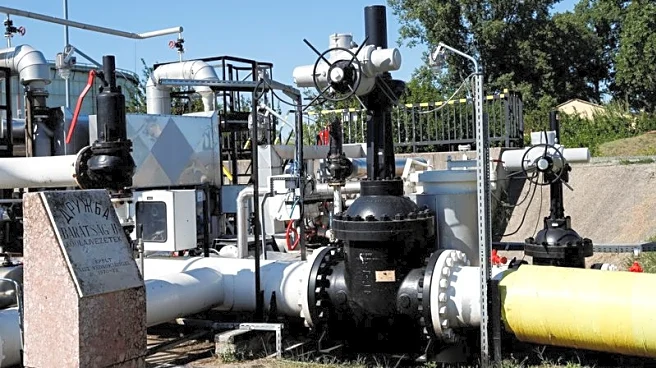 Repairs to Druzhba pipeline 'not that fast', Zelenskiy says