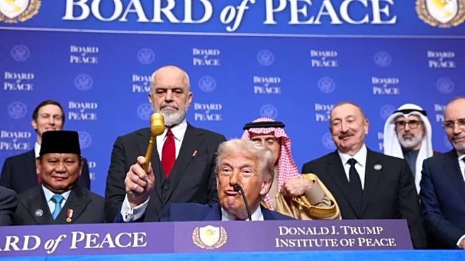 Russia questions how Trump's Board of Peace will work with UN Security Council