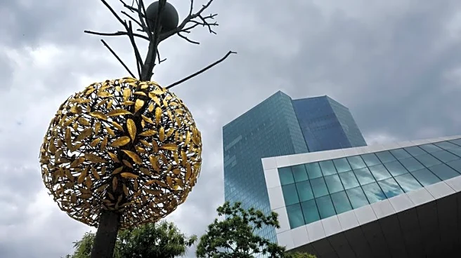 ECB sells some dollar assets, cuts weight of dollar in reserves