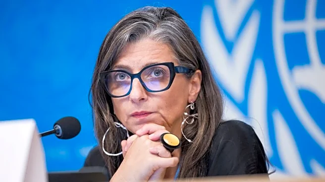 UN expert on Palestinian territories denounces 'toxic' attacks against her