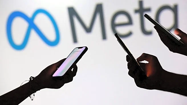 Setback for Meta as court adviser backs EU regulators in data spat