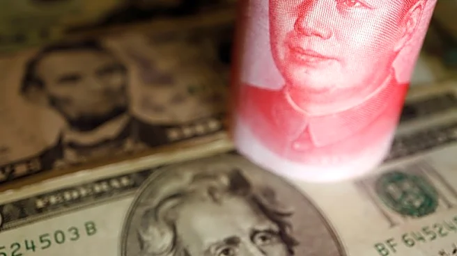 Explainer-What can China do to slow down its rising currency?