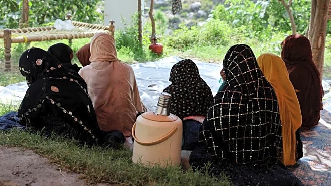 Women at risk as Taliban curbs hit Afghan healthcare, UN expert warns