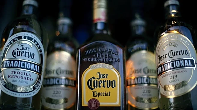 Tequila giant Becle sees weaker 2026 on US restructuring, drying demand