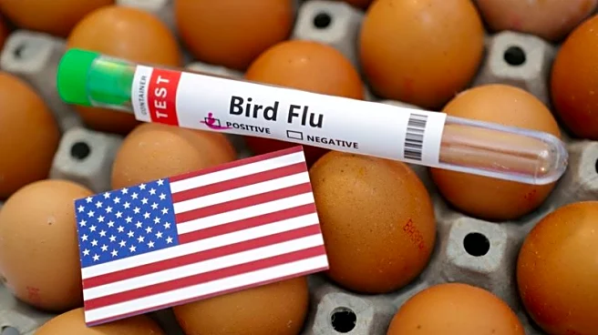 Bird flu devastates 7.4 million Pennsylvania chickens in a month