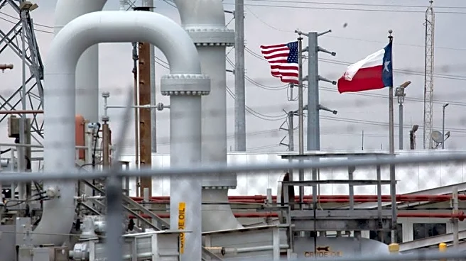 Factbox-How have US presidents tapped the Strategic Petroleum Reserve during war?