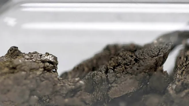 Rare earths company REalloys receives Pentagon funding