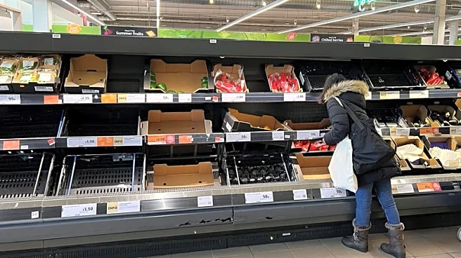 UK grocery inflation edges higher to 4.3%, says Worldpanel