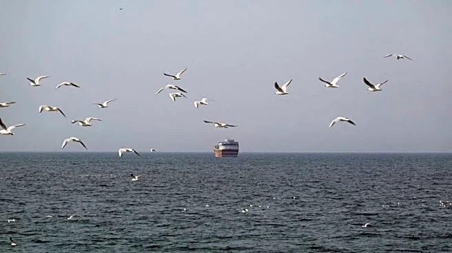 Morning bid: Hormuz haze hits markets