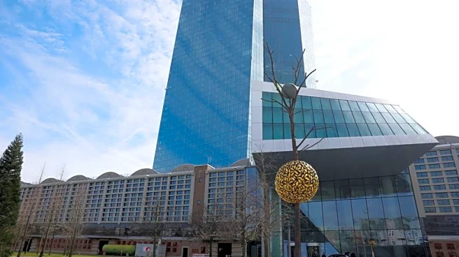 Stablecoin use could weaken ECB's hand, hamper lenders, ECB paper finds