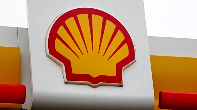 Shell committed to backstop Raizen with $668 million investment, Brazil CEO says
