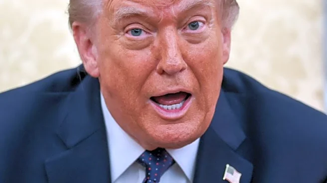 Trump to meet tech giants on energy pledge ahead of midterms