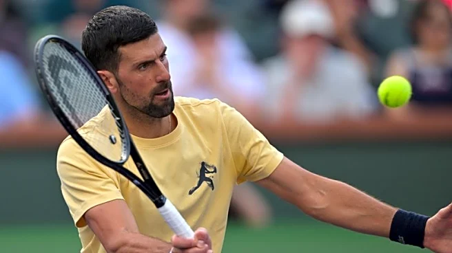 Tennis-Djokovic says he will keep playing as long as he has 'fire and flair'
