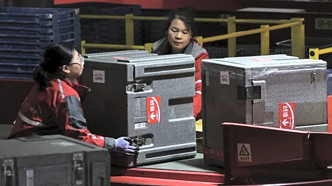 China's JD.com misses quarterly revenue estimates