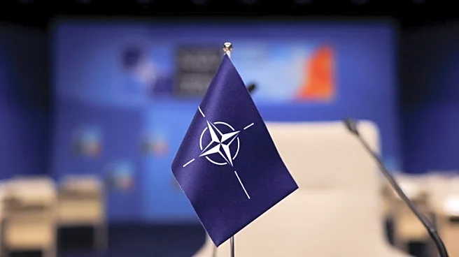 Exclusive-NATO's Rutte does not see need to invoke Art. 5 after missile incident