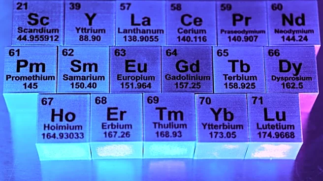 USA Rare Earth to acquire remaining stake in Texas Round Top deposit for $73 million