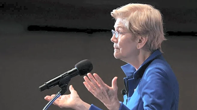 US Senator Warren targets US ammunition sales linked to Mexican cartels