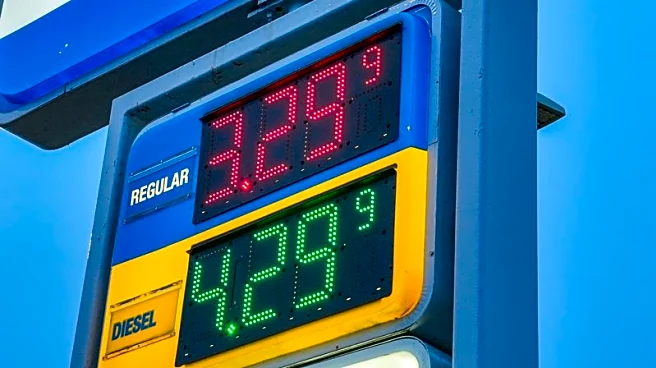 Exclusive-Trump on rising gas prices during Iran operation: 'If they rise, they rise'