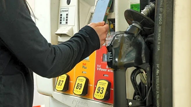 US weighs oil futures market action to combat rising energy prices, WH official says