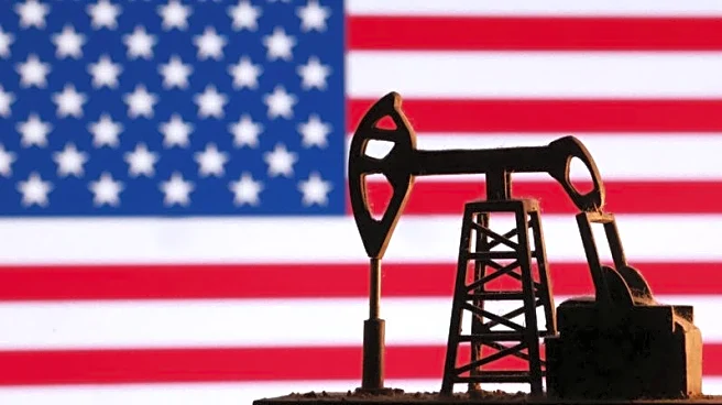 Trump officials ruling out Treasury oil futures trades for now, Bloomberg News reports