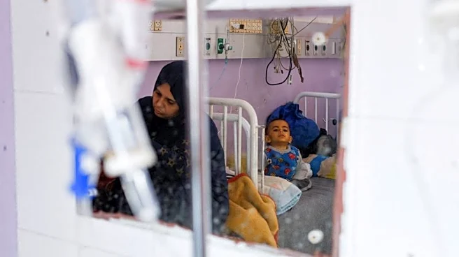 Medical stocks 'critically low' in Gaza, WHO says