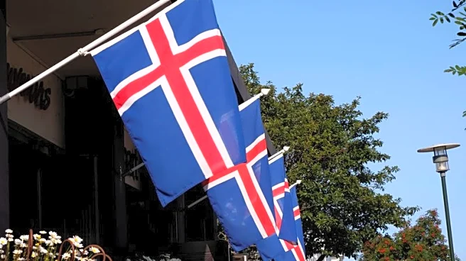 Iceland plans now or never referendum on EU negotiations