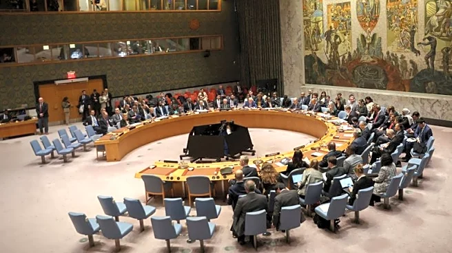 Explainer-How will the next UN chief be chosen and who wants the job?