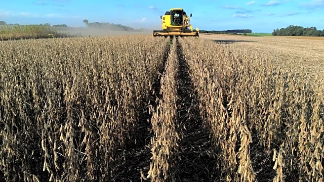 Brazil farmers face diesel cost jump as Middle East conflict lifts oil prices