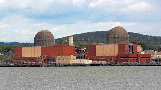 Despite Trump push, New York opposes reopening Indian Point nuclear power plant