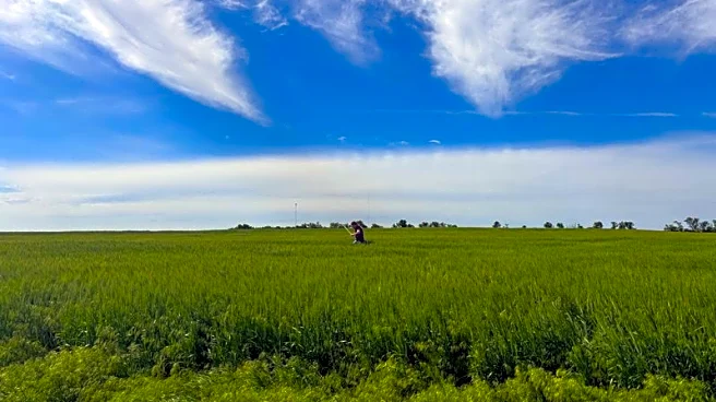 Bayer takes its multi-front battle on pesticide liability to Kansas