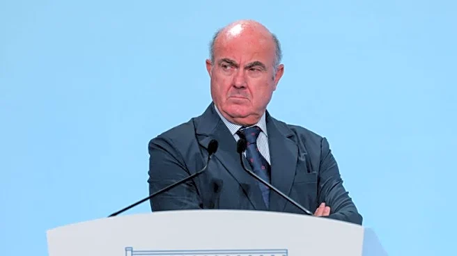 Market volatility can amplify shocks to euro zone economy, ECB's VP warns