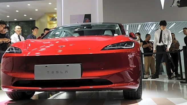 Tesla's China-made EV sales jump 91% in February on low comparison